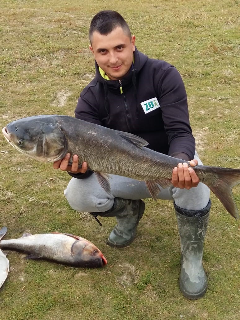 Baraj Paltinu  - IMG20181021WA0008.jpg